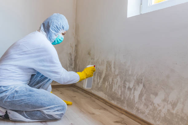 Mold inspector in Keyport performing thermal imaging