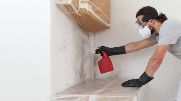 Attic Mold Remediation treatment on roof deck in Keyport